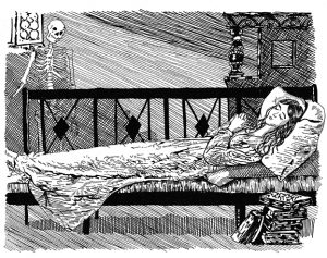 Chapter 7 Shark Alley Full