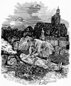 shark-alley-ch6-full